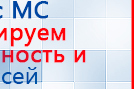 Аппарат магнитотерапии СТЛ Т-00055 Вега Плюс купить в Усолье-сибирском, Аппараты Меркурий купить в Усолье-сибирском, Нейродэнс ПКМ официальный сайт - denasdevice.ru